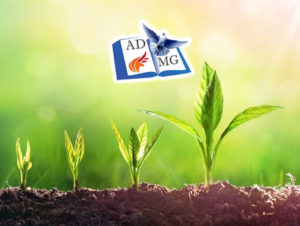 Assembléia de Deus Ministério de Guarulhos - Crescimento